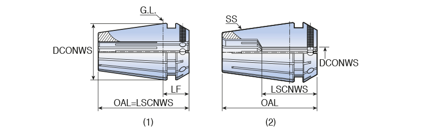 ER20 SEAL 5 AA